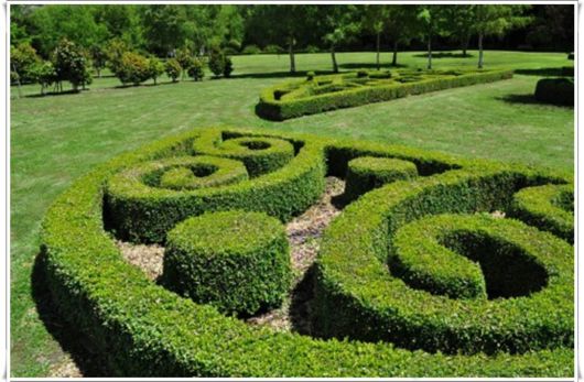Wonderful Topiary Green Works