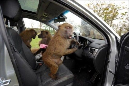 How Hyundai Automakers Test Their Cars