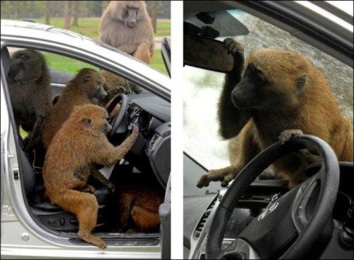 How Hyundai Automakers Test Their Cars