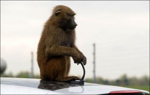 How Hyundai Automakers Test Their Cars