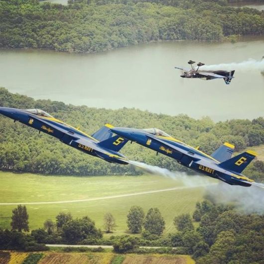 Aviation Daredevil - Master Of Photobombing