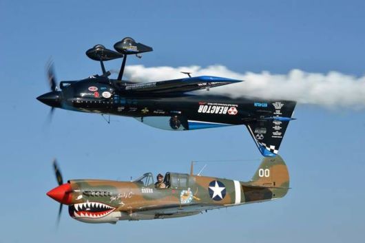 Aviation Daredevil - Master Of Photobombing