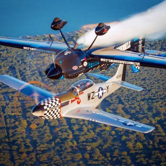 Aviation Daredevil - Master Of Photobombing