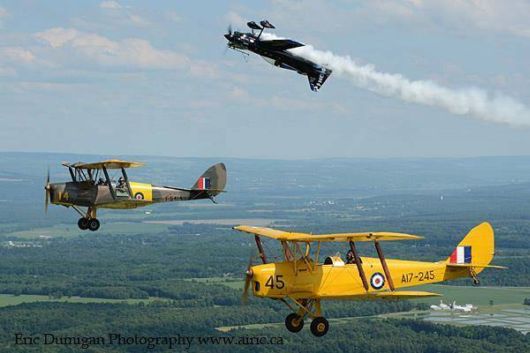 Aviation Daredevil - Master Of Photobombing