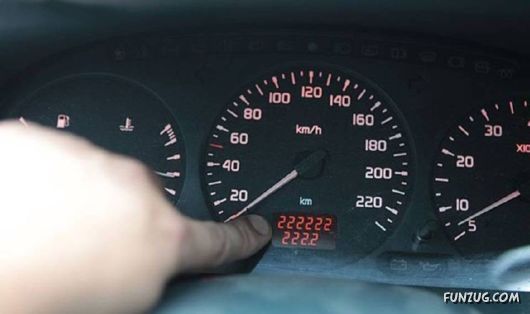 Crazy Pictures In Crazy Situations