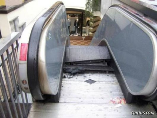 Crazy Pictures In Crazy Situations