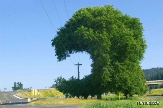 Crazy Pictures In Crazy Situations