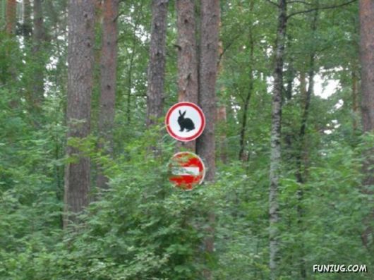 Crazy Pictures In Crazy Situations