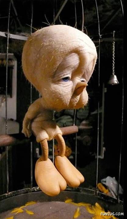 Crazy Pictures In Crazy Situations