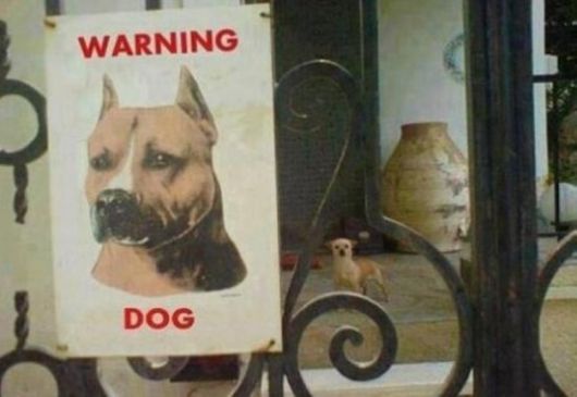 Examples of Flagrant False Advertising