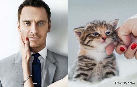 Funny Cats Imitating The Models