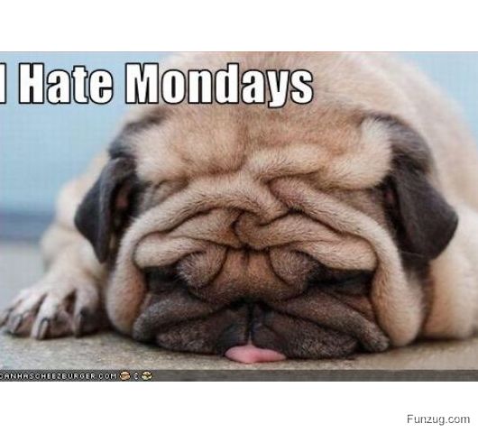 II hate Mondays