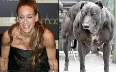 Hilarious Look Alikes Compilation