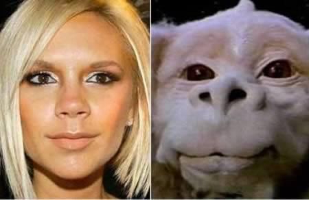 Hilarious Look Alikes Compilation