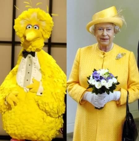 Hilarious Look Alikes Compilation