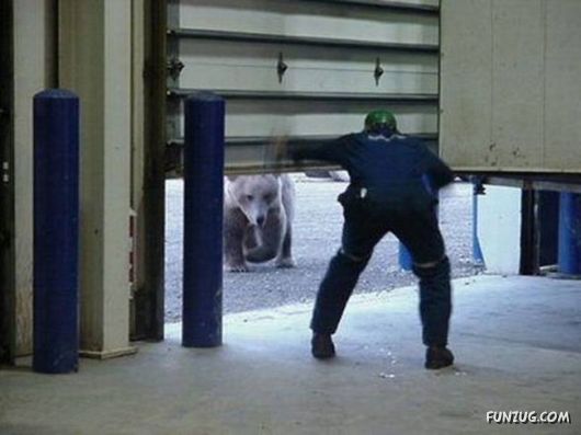 Crazy Losers Funny Pictures