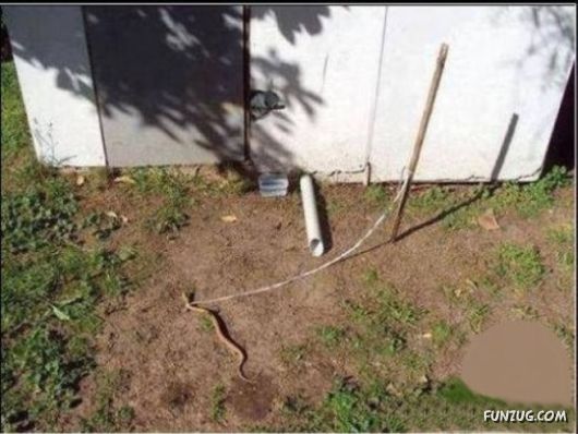 Release Your Inner Redneck