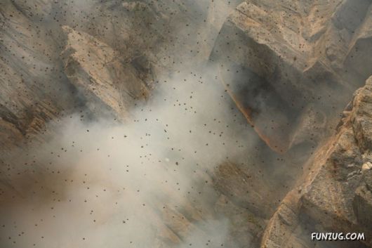 The Collectors Of Wild Honey