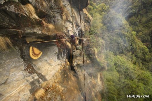 The Collectors Of Wild Honey