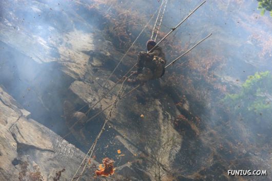 The Collectors Of Wild Honey