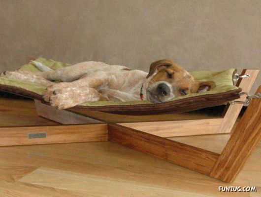 Cool Stuff By Creative Minds