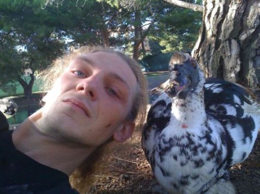 Animals Often Cooler Than People