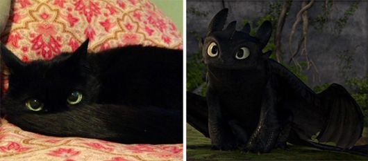 Cats That Look Like Other Things