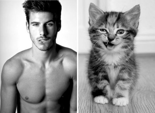 Cats Posing With Their Male Model Equivalents