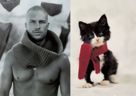 Cats Posing With Their Male Model Equivalents