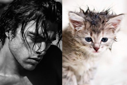 Cats Posing With Their Male Model Equivalents