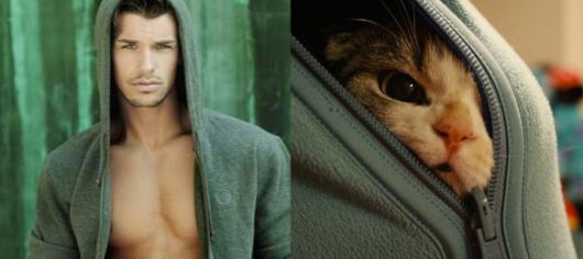 Cats Posing With Their Male Model Equivalents