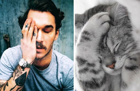 Cats Posing With Their Male Model Equivalents