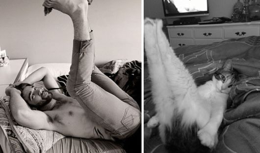 Cats Posing With Their Male Model Equivalents