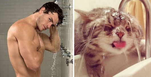 Cats Posing With Their Male Model Equivalents