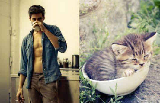 Cats Posing With Their Male Model Equivalents