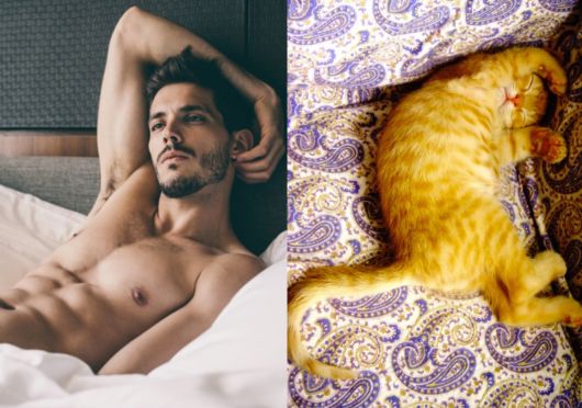 Cats Posing With Their Male Model Equivalents