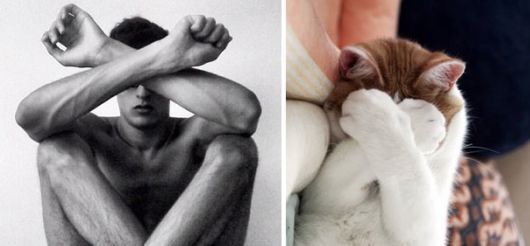 Cats Posing With Their Male Model Equivalents