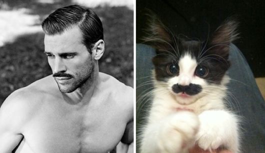 Cats Posing With Their Male Model Equivalents