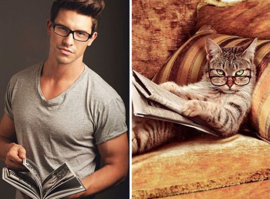 Cats Posing With Their Male Model Equivalents