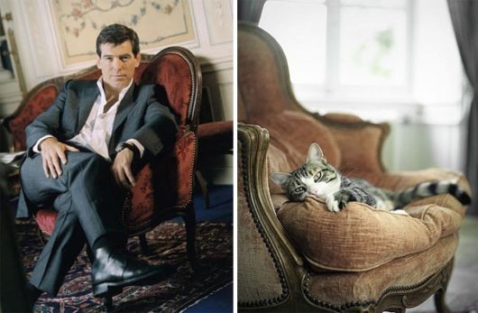 Cats Posing With Their Male Model Equivalents
