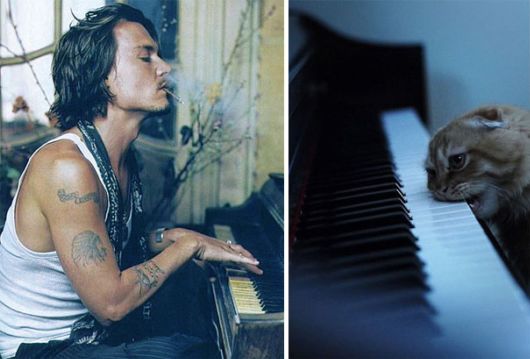 Cats Posing With Their Male Model Equivalents