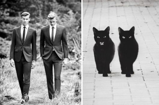 Cats Posing With Their Male Model Equivalents