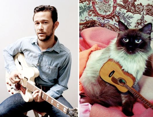 Cats Posing With Their Male Model Equivalents