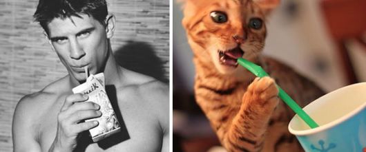 Cats Posing With Their Male Model Equivalents