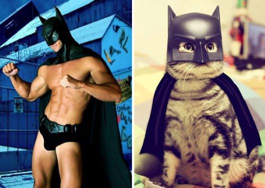 Cats Posing With Their Male Model Equivalents
