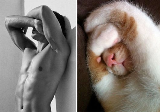 Cats Posing With Their Male Model Equivalents