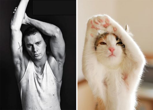 Cats Posing With Their Male Model Equivalents