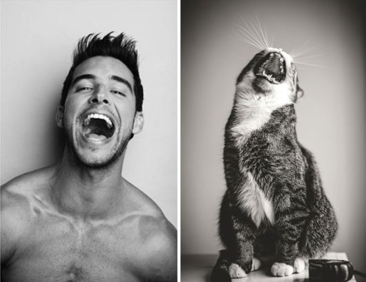 Cats Posing With Their Male Model Equivalents