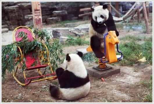 Cool Funny Pictures Of The Week