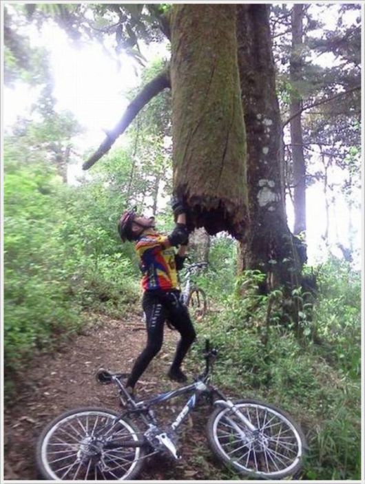 Cool Funny Pictures Of The Week